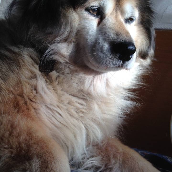 96e1c6b8 58b5 4331 814b 64afa9bce0c4 1617661736072