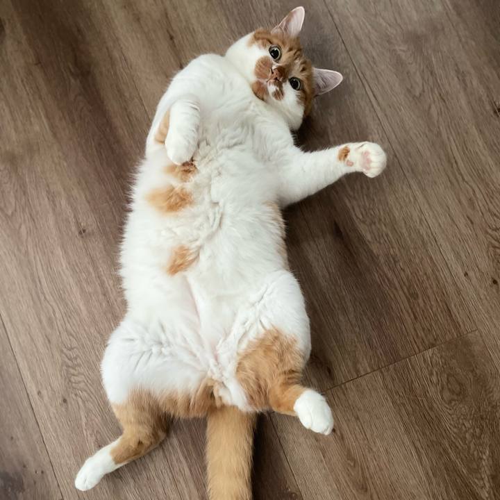 96e22695 5f8f 43c8 bed6 81d94c8d7288 1685654077150