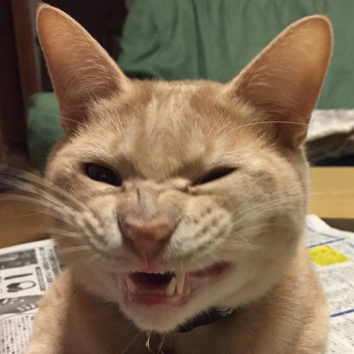 96e22d4a d5fb 4936 8cf5 890f75fb9e08 1549108221559