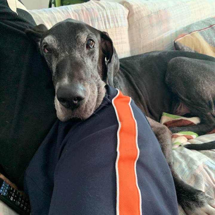 96e2565e 6042 4260 9d1e 8cdd45a3f59b 1602414610540