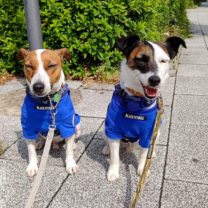 96e2b22b e6a8 4d53 a15b eb98d4dbe2b9 1621035974546