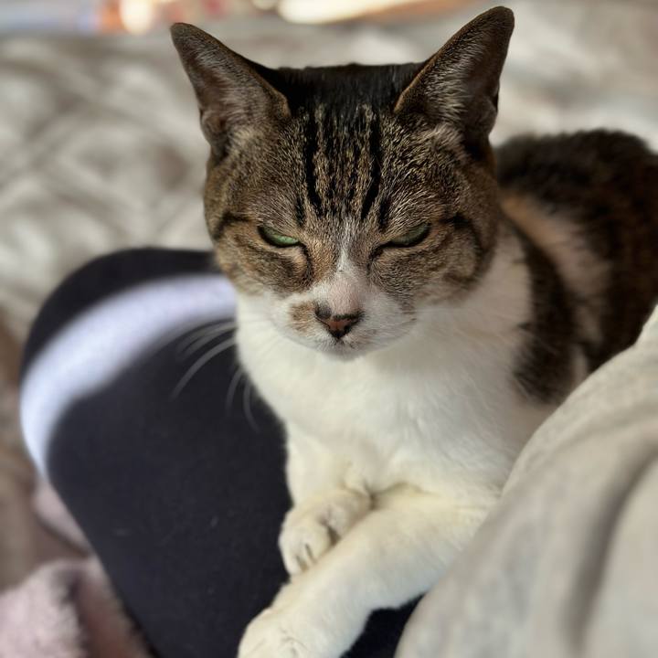 96e2bd99 f0f2 4225 bec7 2432fbbf5b53 1675045138768