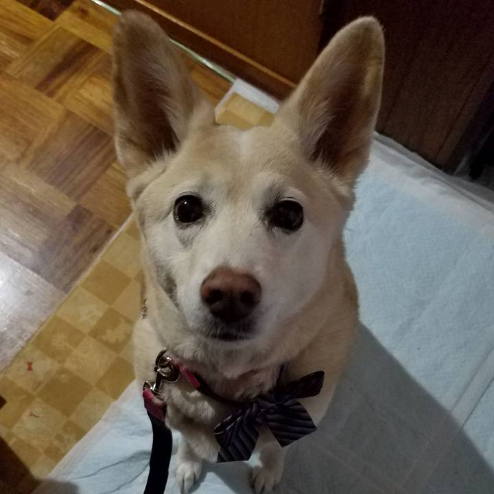 96e2f9c9 e43c 4a20 ad3e 896a2afa8994 1555694241982