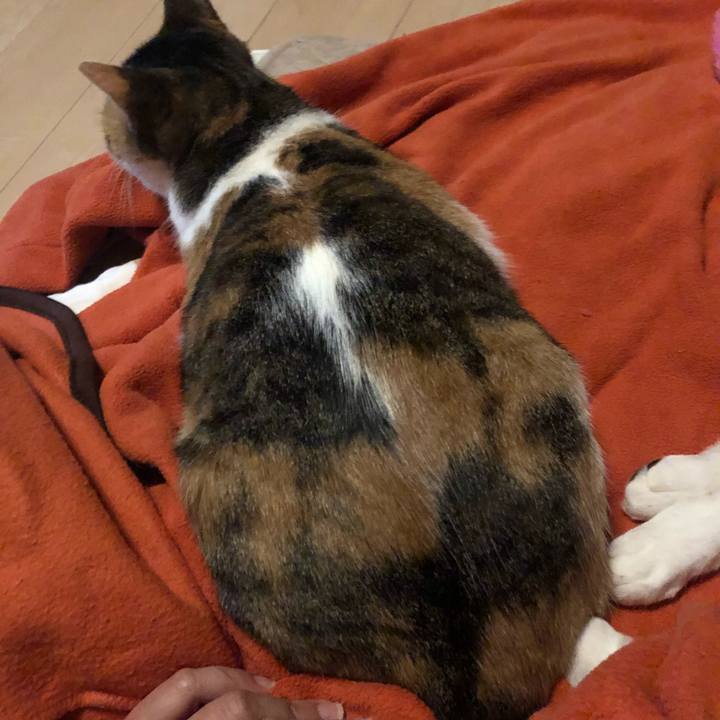 96e33fa1 484b 4c3f a787 f2fd462bdb77 1580903236036