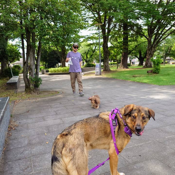 96e36563 b5e0 4614 a753 6696d2736ad4 1750552767161