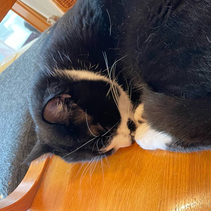 96e3da94 0c3a 4f61 b400 3f3dab54f4ce 1658108645457