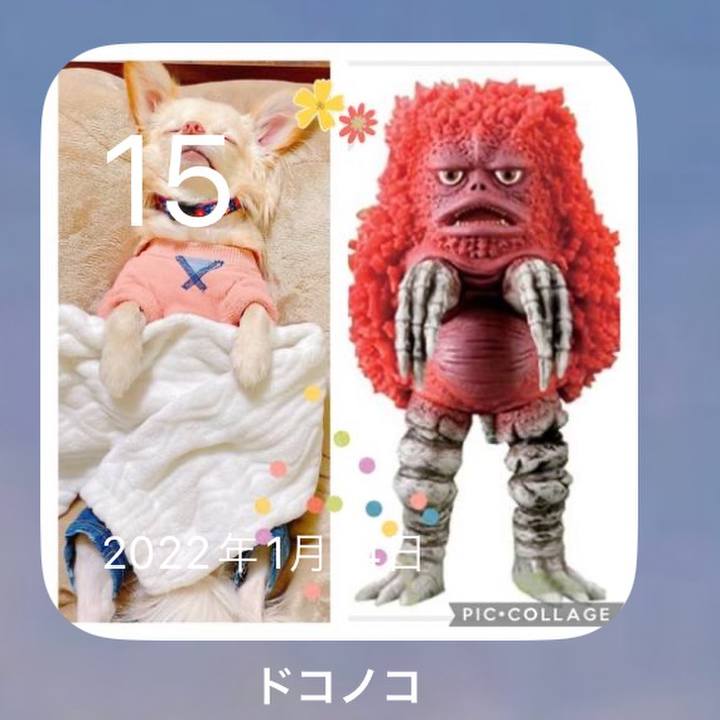 96e40bbb f54e 4c06 b962 61e68c7ad683 1673750028717