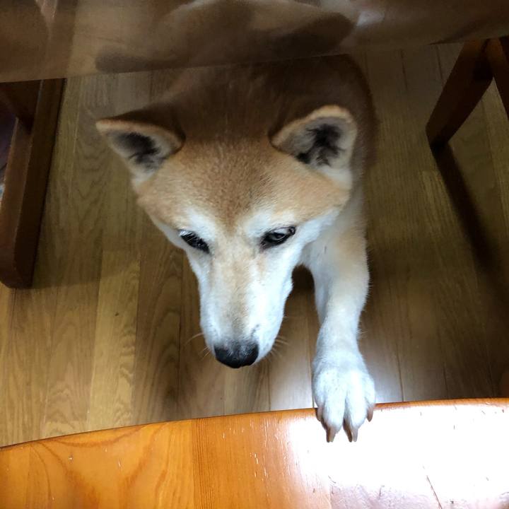 96e41ae3 ecd2 43b3 8b2e abc29c513242 1601948788915