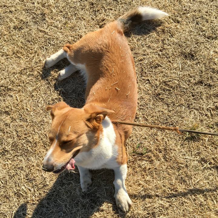 96e41e23 59c7 4326 af32 783e7d25c95c 1612403164692