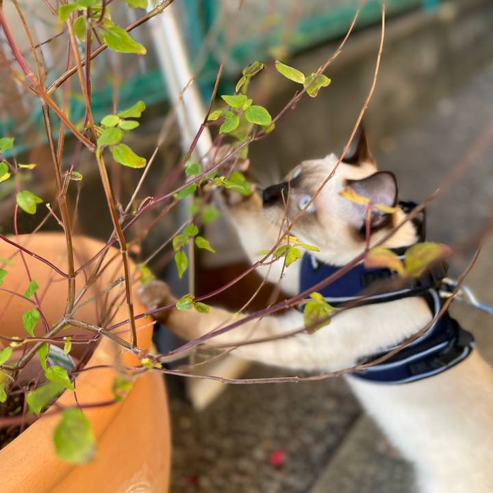 96e44318 3826 4d72 b3c6 85a2cc170bb7 1695549632898