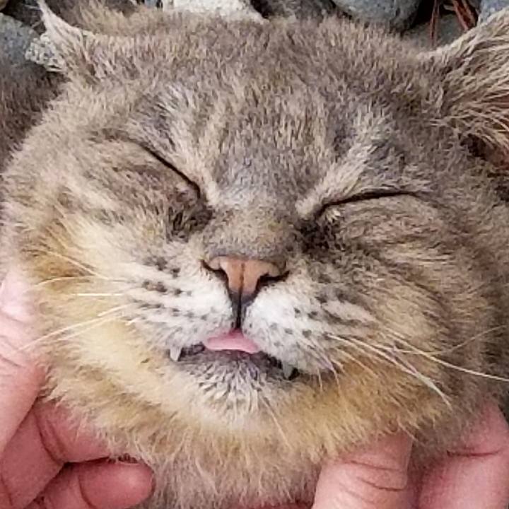 96e44de9 ffbb 4b10 8568 3ff56b5862bd 1525399284303