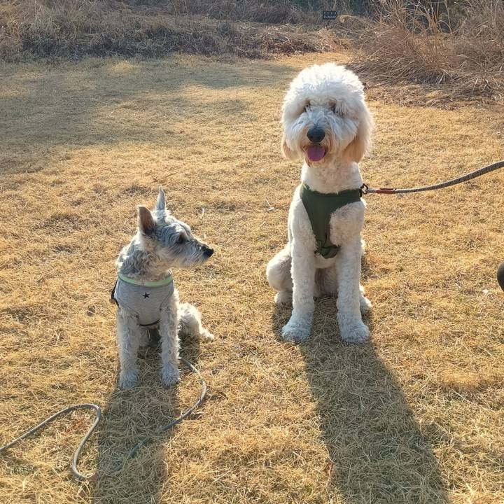 96e47b4d a634 4795 b15c 86ec8b2a53e6 1774356708307