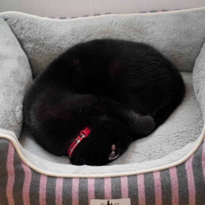 96e49525 93a3 44d4 a5e7 de70303417de 1574294906086