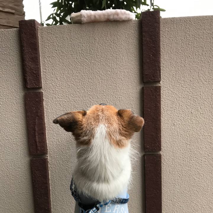 96e496ad b166 402e a6b9 7397e9a91d6a 1607927707321