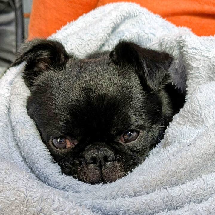 96e4a65f bcb6 4360 bdd6 1c998d96469f 1763734384008