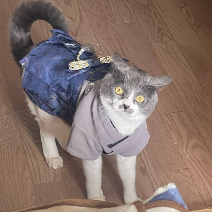 96e4f936 7a71 4ba0 b653 344c41a96afa 1735697433120