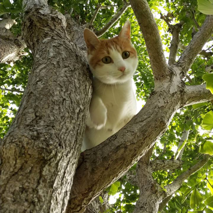 96e55232 dde9 4921 85d2 8392fbbc8943 1530231720685