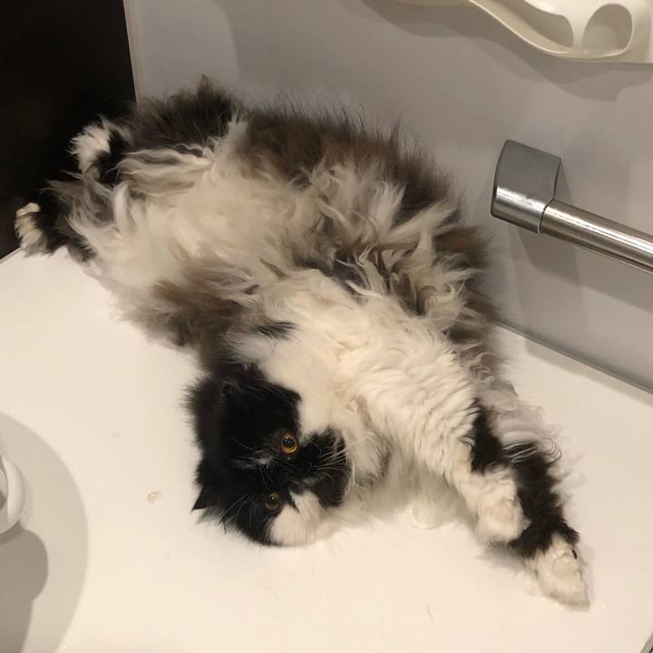 96e56444 25b3 41bc 9017 91fffa709f7f 1646258109430