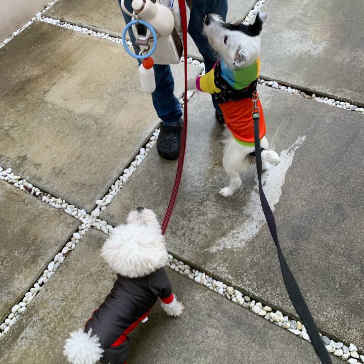 96e57193 fefd 4d45 9c57 a4c7b901fe32 1730502889326