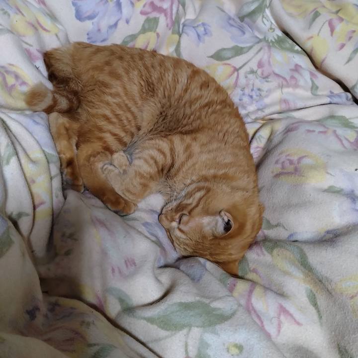 96e575c9 e116 4cfb 8888 6cb793826270 1669639936153