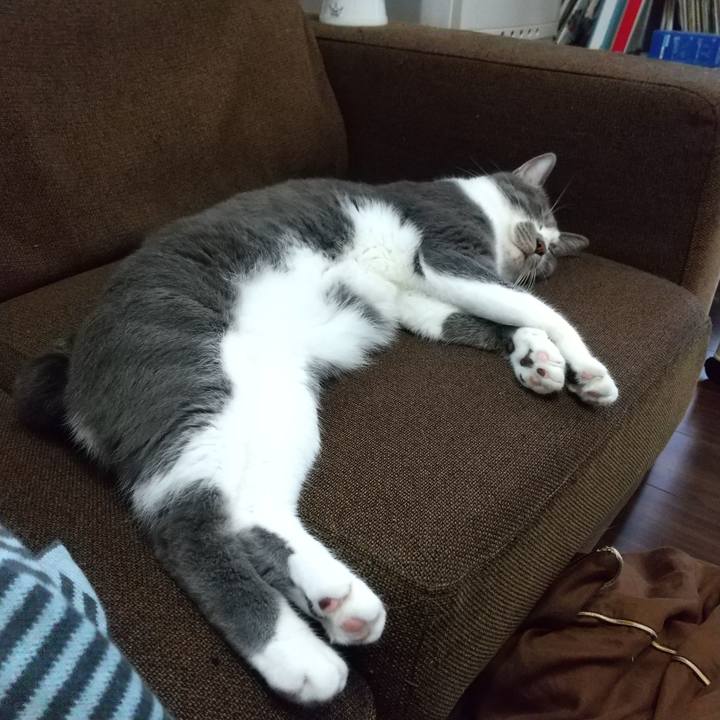 96e57a8e 4f60 4ef2 8644 bbecdf47f11d 1632640466373