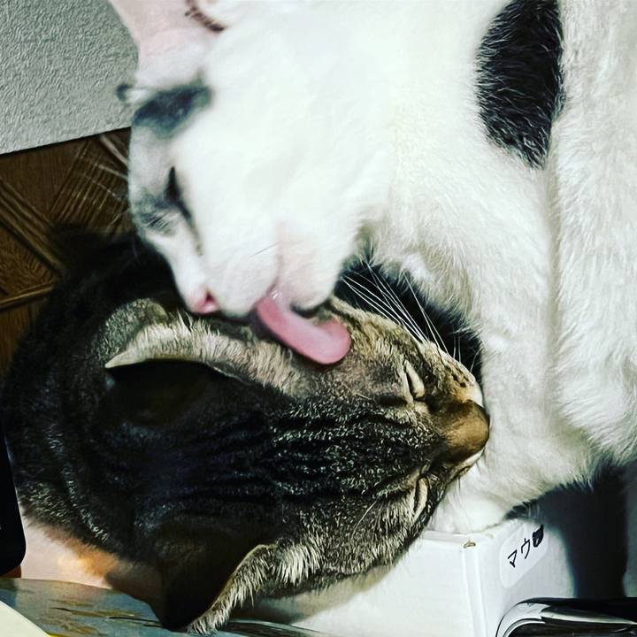 96e5a20e 07ed 480a 9e41 fdaac73166ab 1640371307339