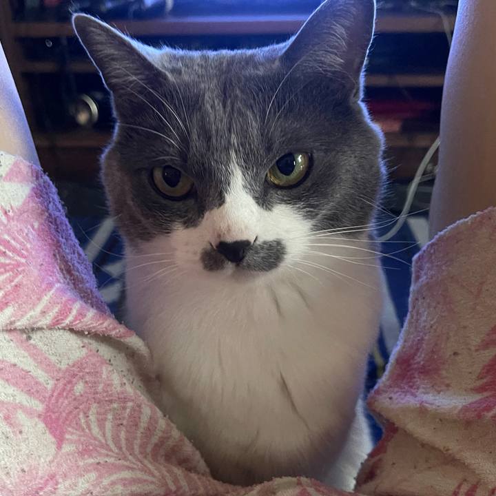 96e5bf09 c4ce 40a6 89af 76fd94ecc598 1652425574549