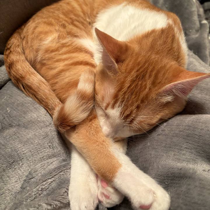 96e5dc2c 01eb 445f 9cd3 c27a87dfd43a 1708341742439