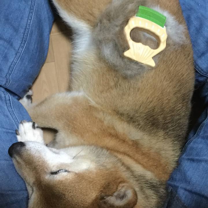 96e6187d 968d 43ed 998a d54785ee2849 1593592494748