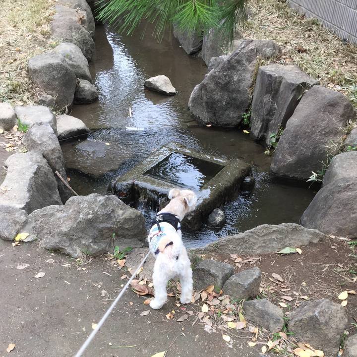 96e61940 bd18 41e9 b503 079fd4862161 1538978236475