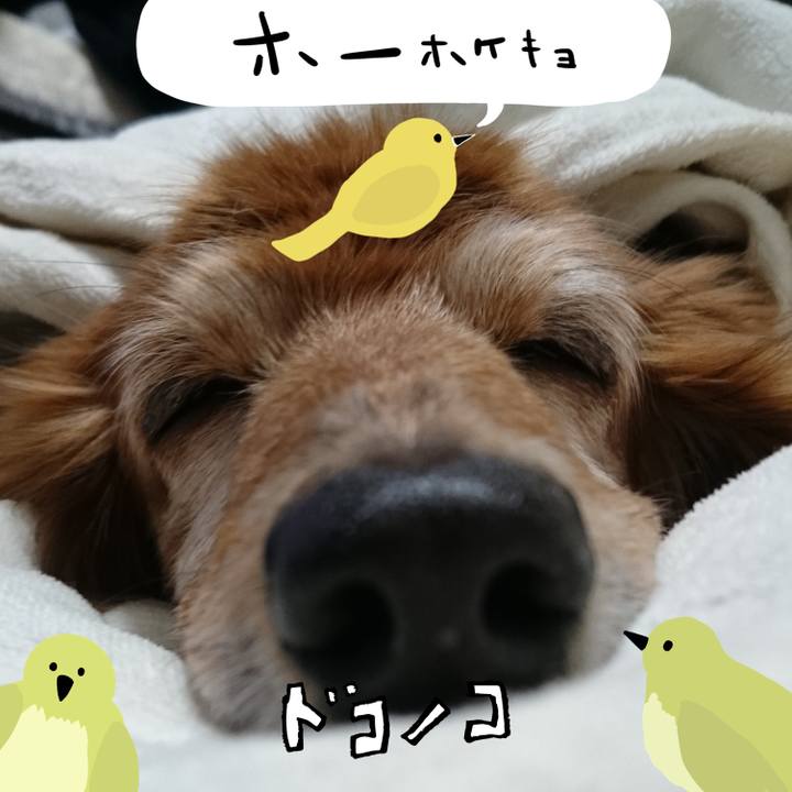 96e661ab c2fb 40ac b256 7c584dc94654 1711266990058