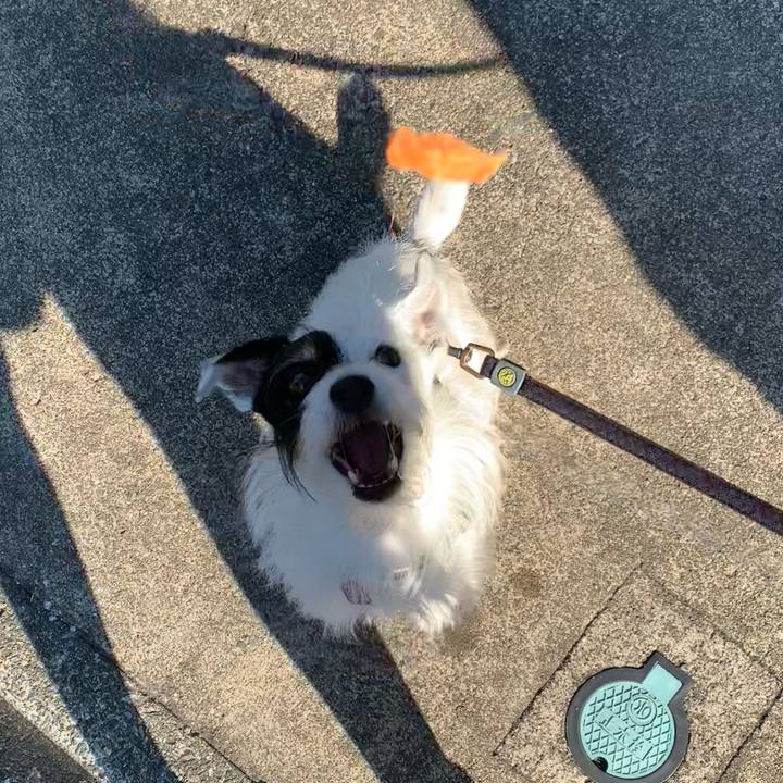 96e68ec4 4583 4b0f 9825 3fcc2558239d 1689633730114