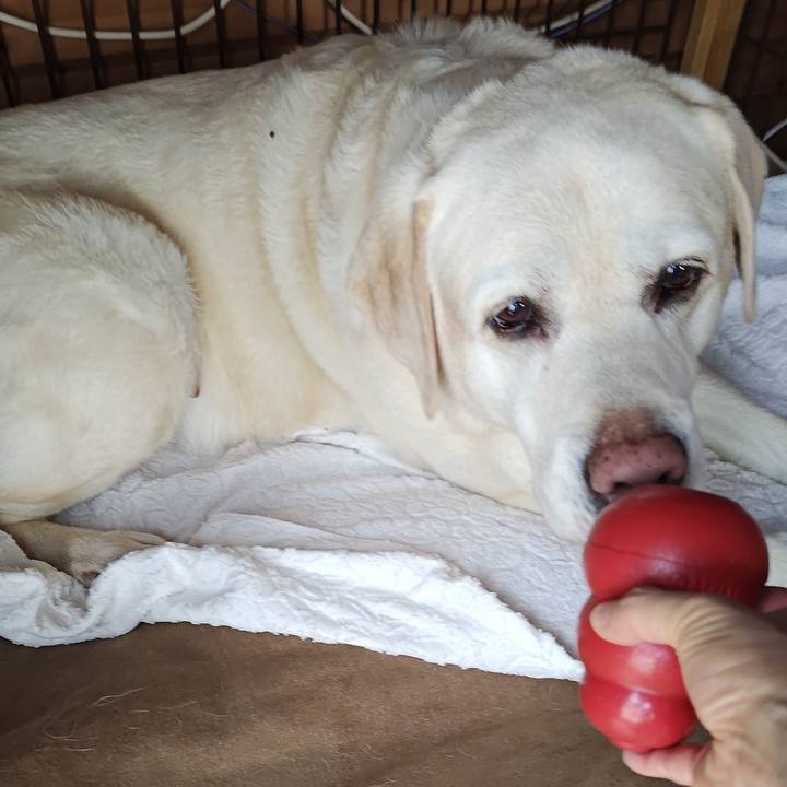 96e6c9e1 19ba 49e6 87a8 af9370c48c1d 1750033503712