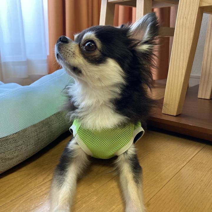 96e6d915 f36f 4db4 97d0 45d6e72f5344 1688310253239