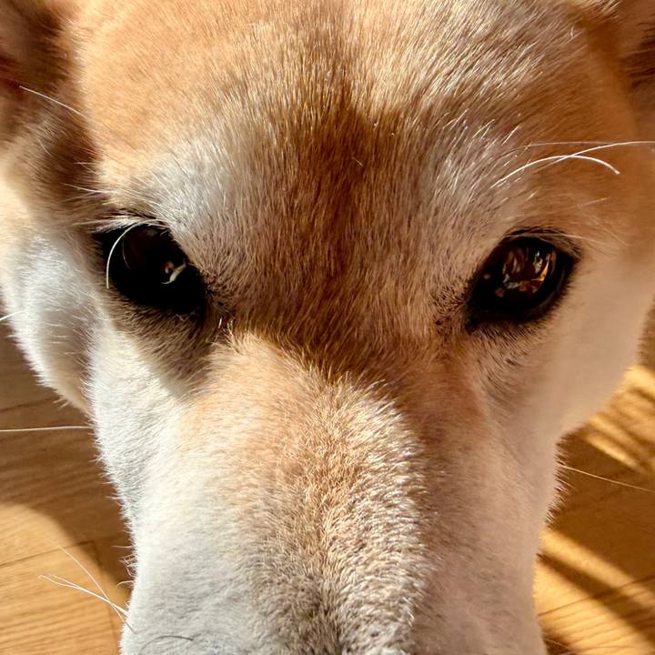 96e6e0d0 7460 4bc8 9947 4ebe4056ab84 1767752373712