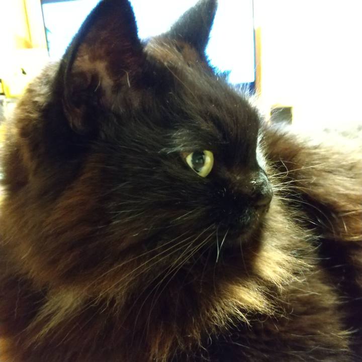 96e6e641 a038 4fca 96a9 33bd0053f12c 1582983908471