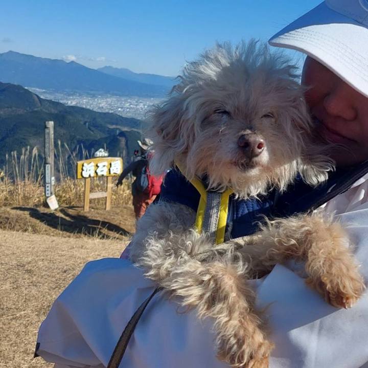 96e71e22 7025 4276 86b0 1031a5027863 1703558418061