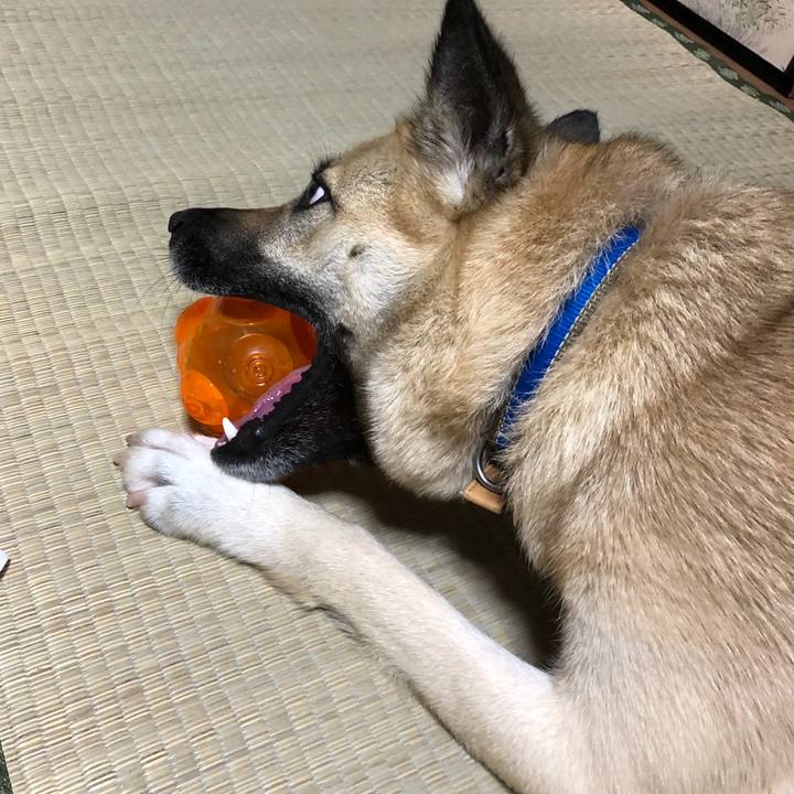 96e73220 c702 4854 8ce2 cf2d2773dbf0 1524570053237