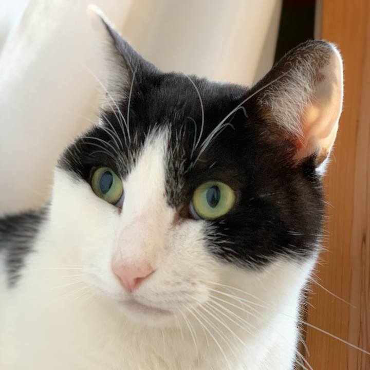 96e753fd 9843 4c49 b5c0 ce73d8f86b0d 1578362603375