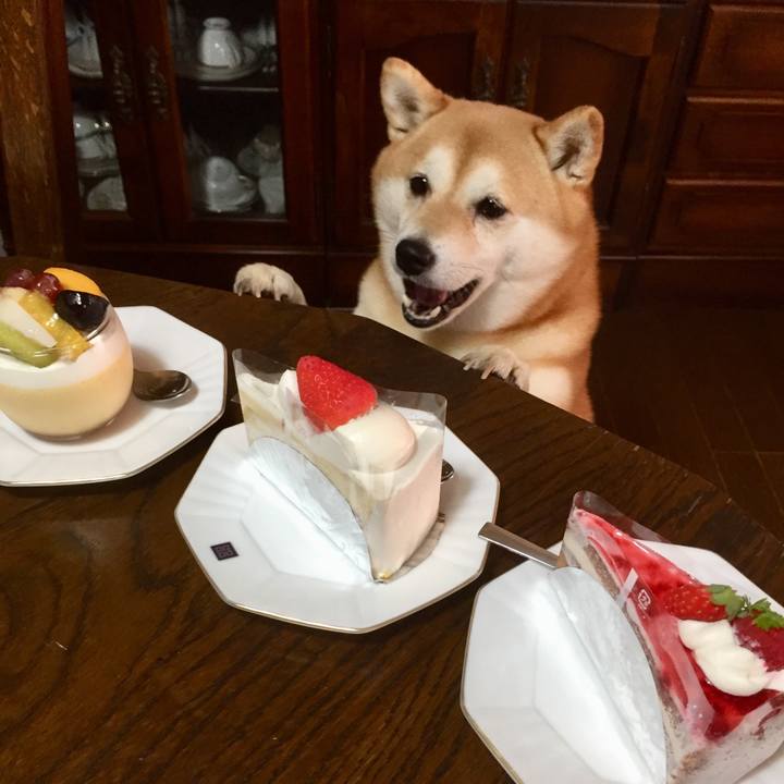 96e7abeb 0070 47b9 8a3d db8150132837 1569362799923