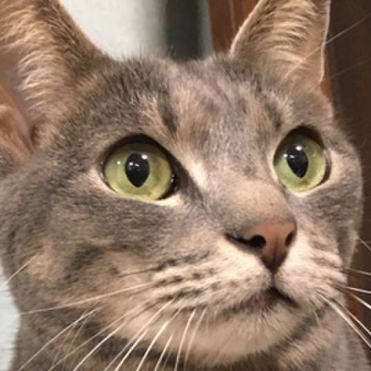 96e86f44 c3db 48bb a98d 6bc2d4b3abe6 1558171429600