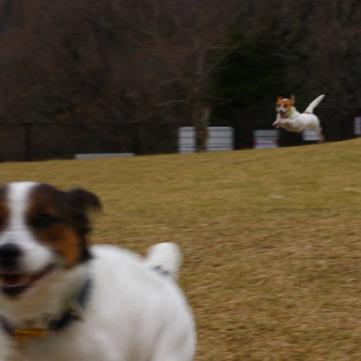 96e883f2 1970 497f ab57 9a3521f4a28d 1553394478271