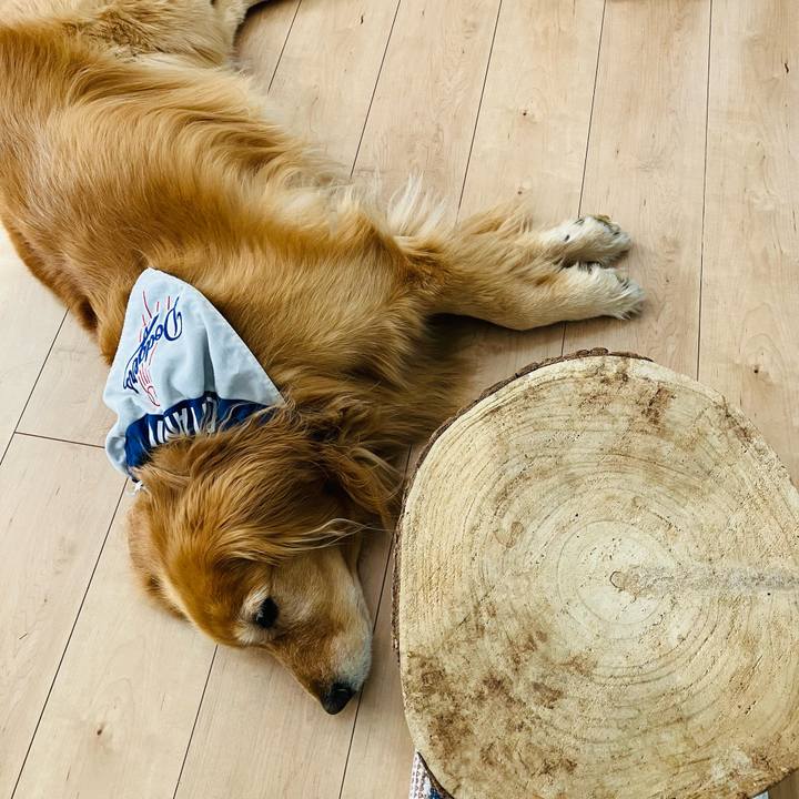 96e8dfe9 ae58 47e2 bc60 dc1f48c49aa4 1730167867358