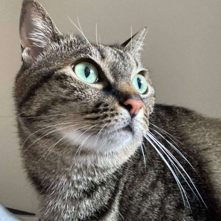 96e90a88 2b37 4822 a25f ca614864e8b9 1649467767211