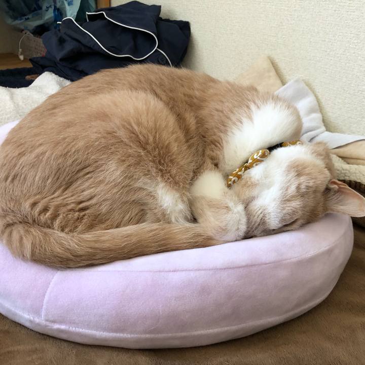 96e90c4b 3dbf 43fc 9e94 6e0616c90ac1 1587783408681