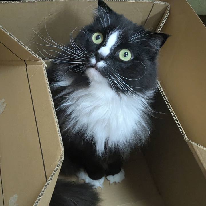 96e9630b 587b 479a ae3e 2da124693752 1742124477222