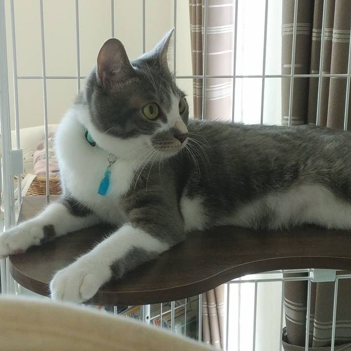 96e96601 2910 4fd9 a16e 031b471e1cf6 1592351644037