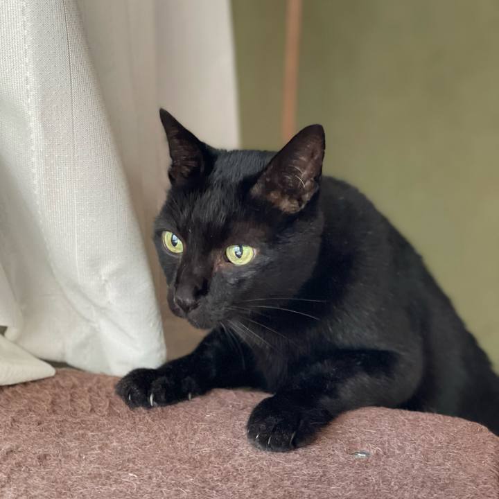 96e9d1f0 3a59 4f6c b742 4312f00c9578 1635731737626