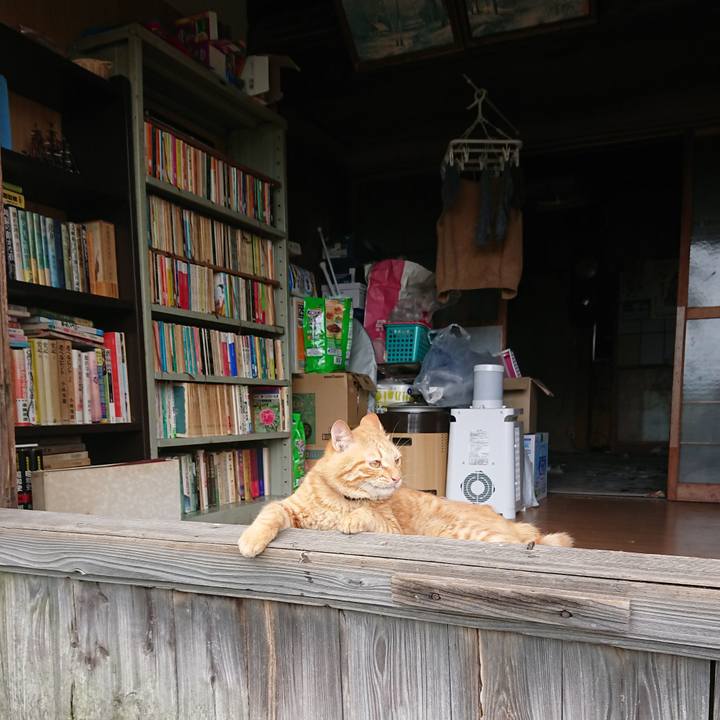 96e9d1f6 d0d2 4d25 aafd ccf07b109483 1661572979815