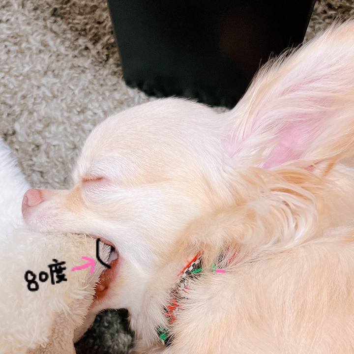 96e9ee7a 3593 4b2f 8b58 2d45e75f7931 1660651013888